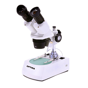 Laboratory-cat