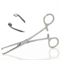 Allis Tissue Forcep 2