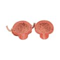 Dual Sex Urinary System Model, 6 part - 3B Smart Anatomy....