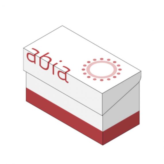 HBs Ag Elisa Kit