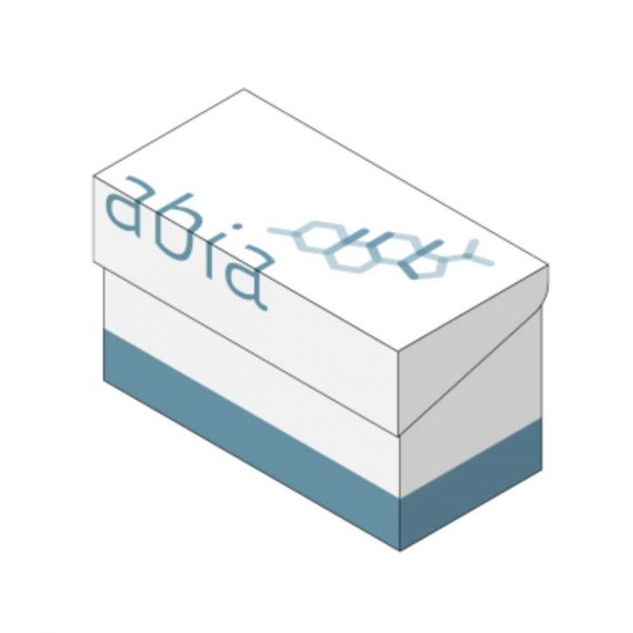 Progesterone Elisa Kit