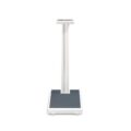 ADE M320600-01 Professional digital column scale
