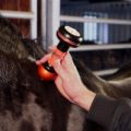 ENERGY-LASER-L800-L2000pro-Bluetooth-Horse3-300x199