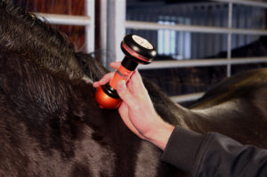 ENERGY-LASER-L800-L2000pro-Bluetooth-Horse3-300x199