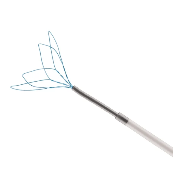 keeper-endovascular-snare-cover