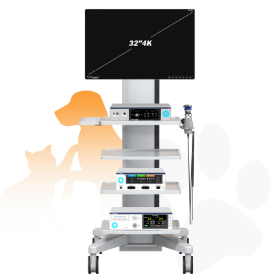 4K9610-ENDOSCOPY_73108