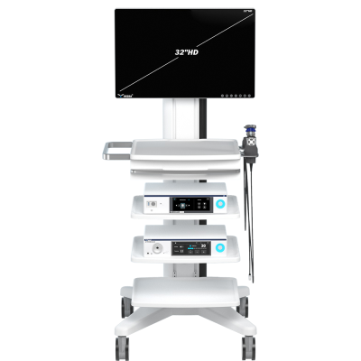 Endoscopy01_74950