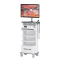 Lapro-Endoscopy-System_35117 (1)
