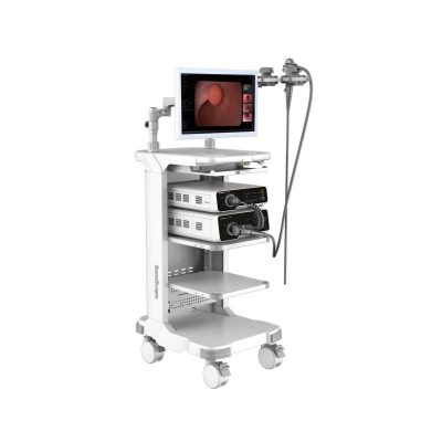 Sonoscape HD-500 Video Endoscopy system