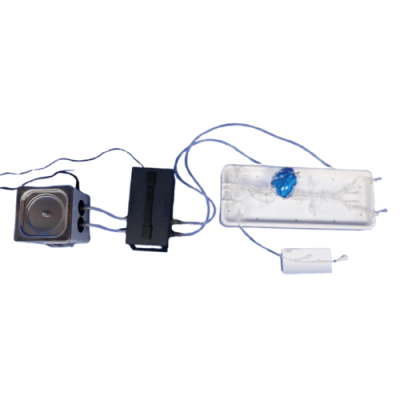 Pulsating Pump