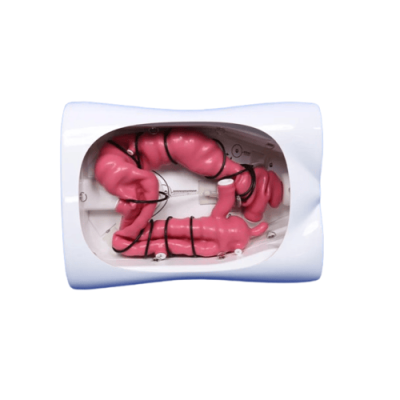 Colonoscopy Training Model