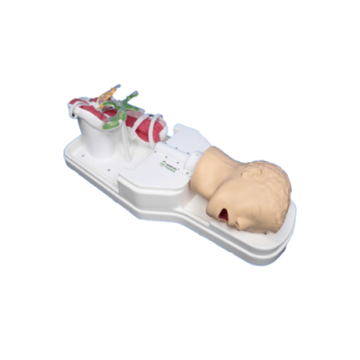 ERCP Training Model