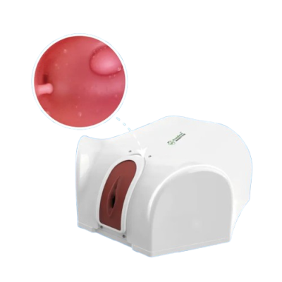 Hysteroscopy Simulator