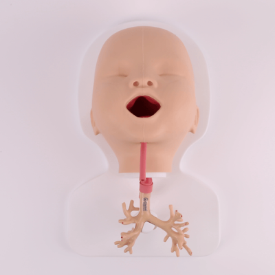 Pediatric Bronchoscope Training Model