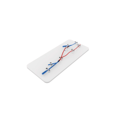 Vein Simulation Model