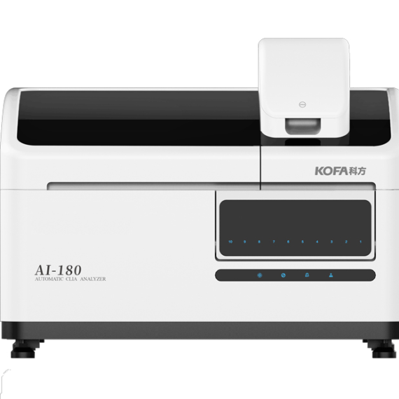 image_2025-11-26_111908196